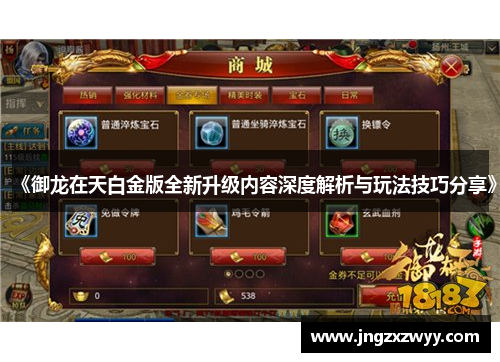 《御龙在天白金版全新升级内容深度解析与玩法技巧分享》